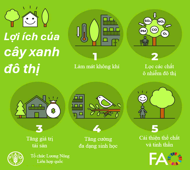 bai-viet-lien-quan